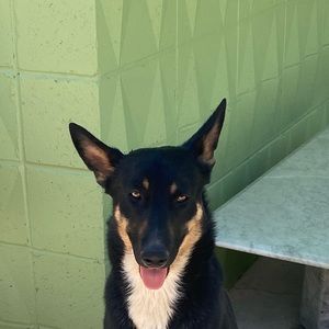 Meet your Posher, Lena